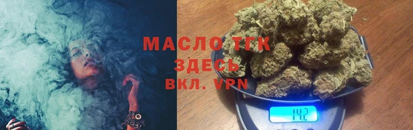 прущие грибы Гусиноозёрск
