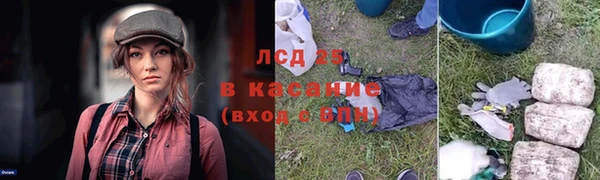 хмурый Горняк