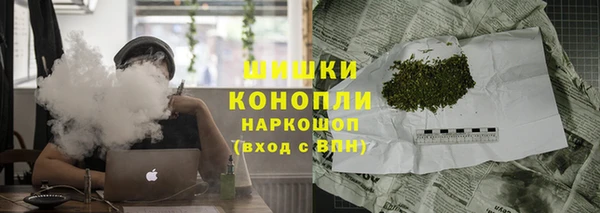 прущие грибы Гусиноозёрск