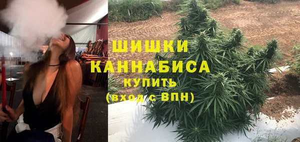 хмурый Горняк