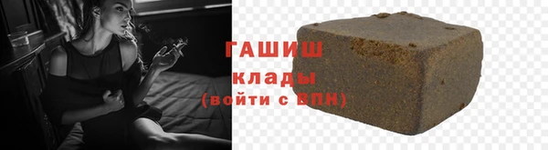 прущие грибы Гусиноозёрск