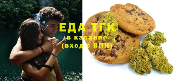 прущие грибы Гусиноозёрск