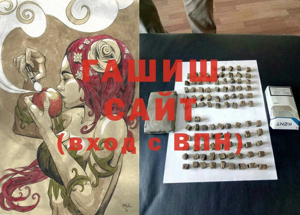 прущие грибы Гусиноозёрск