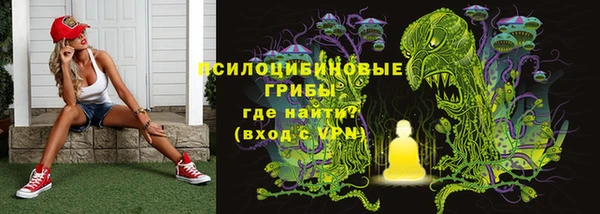 хмурый Горняк