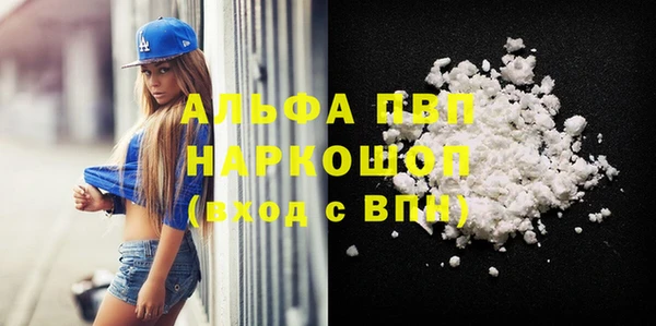прущие грибы Гусиноозёрск
