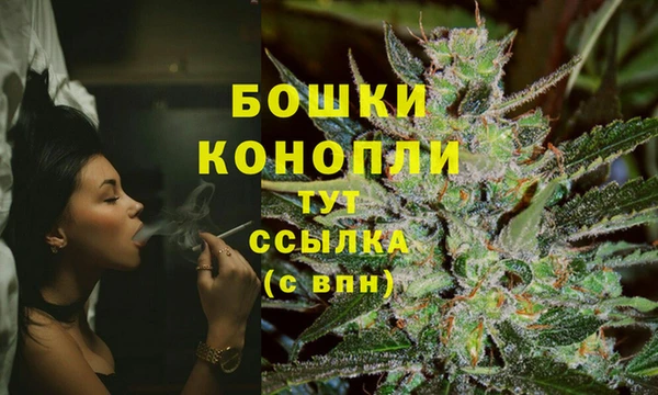прущие крисы Гусев