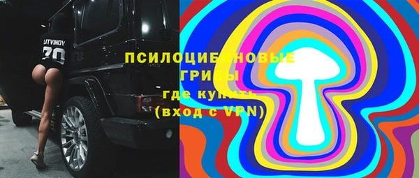 хмурый Горняк