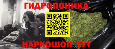 трава Пугачёв