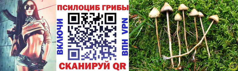 Псилоцибиновые грибы Magic Shrooms  Чистополь 