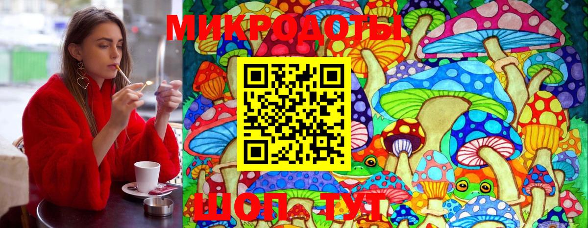 Псилоцибиновые грибы прущие грибы  Псилоцибиновые грибы Psilocybe  Вход с VPN  Чистополь 